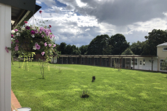 cattery-outside-view-scaled