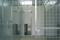 inside-kennels