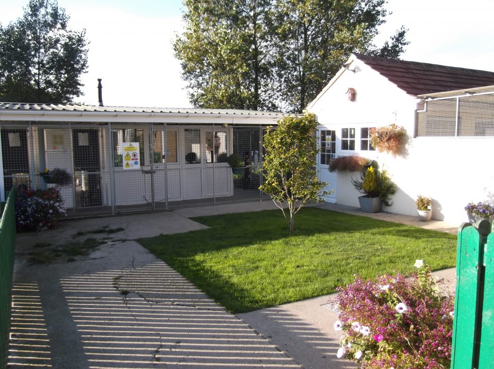 Home - ferry farm boarding kennels